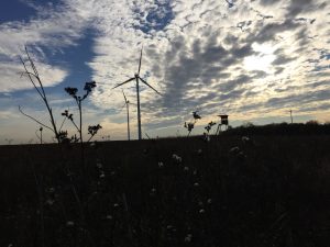 Windkraftrad bei Güntersleben