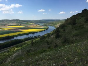 Blick vom Edelweiß auf Maintal