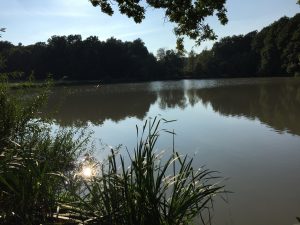 TraumRunde Castell Tränksee