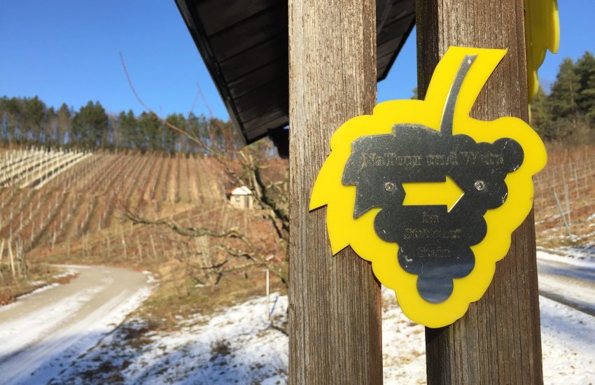 NaTour und Wein im Stettener Stein