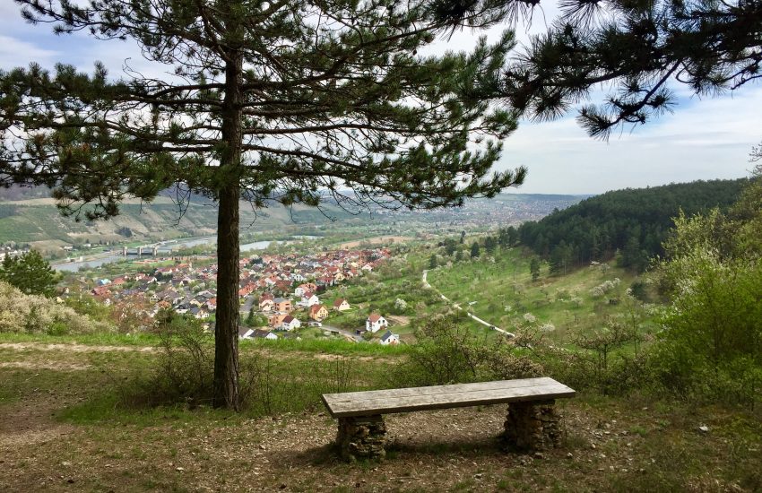 Ausblick Erlabrunn