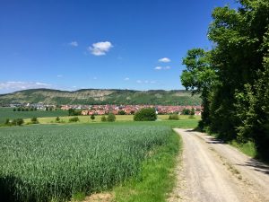 Blick auf Karlburg