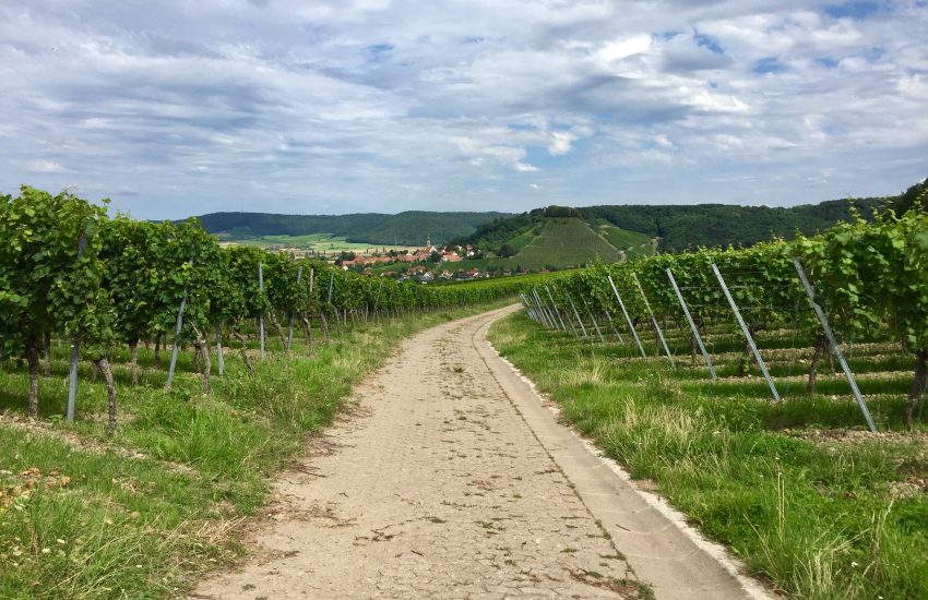 TraumRunde Wiesenbronn