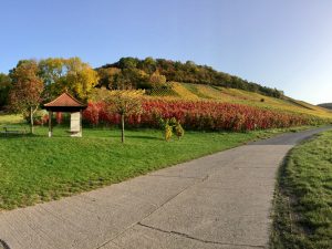 Tannenberg Hüttenheim