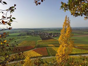 Blick auf Bullenheim