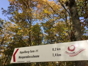 TraumRunde Hüttenheim-Seinsheim