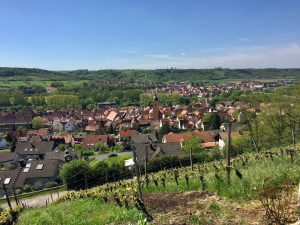 Ausblick Sommerhausen