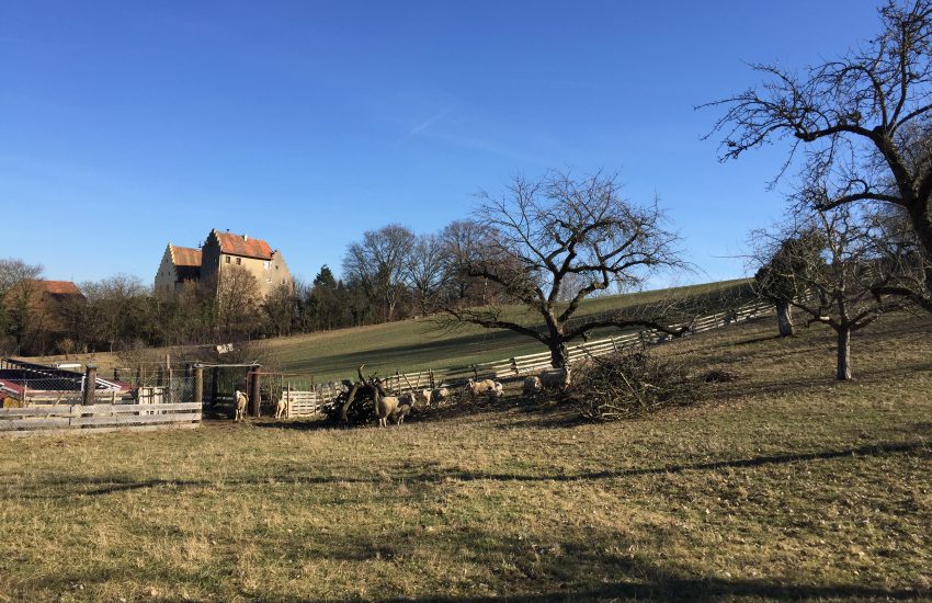 Schloss Klingenberg