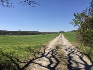 TraumRunde Dornheim