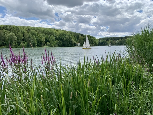 Wassersport Ellertshäuser See