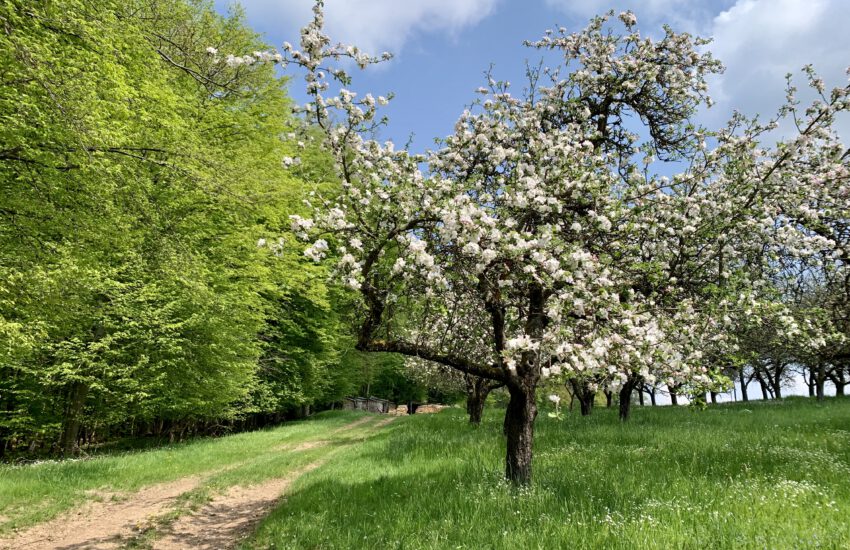 Wanderung Halsbach